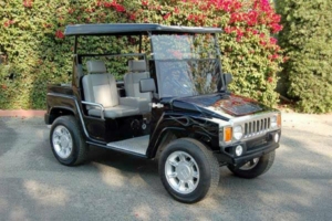 affordable golf cart rental, golf cart rent denver golf cart rental 