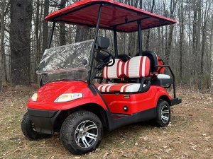 golf cart rental denver, denver golf cart rental